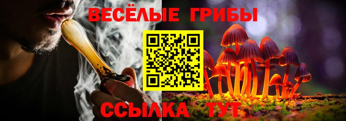 Губаха  Галлюциногенные грибы Cubensis  Вход с VPN 